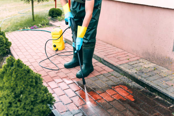 Best Pool Deck Cleaning  in Tremont, PA