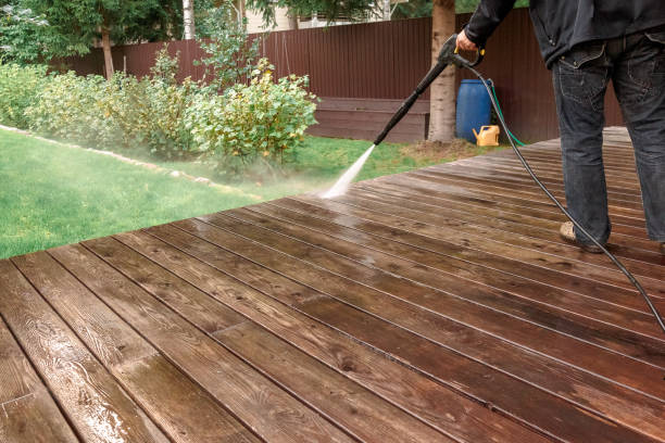 Animal Enclosure Cleaning in Tremont, PA