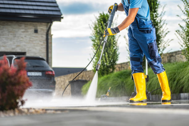 Best Gutter Cleaning  in Tremont, PA